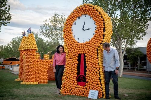 Call Out For Citrus Sculpture Entries