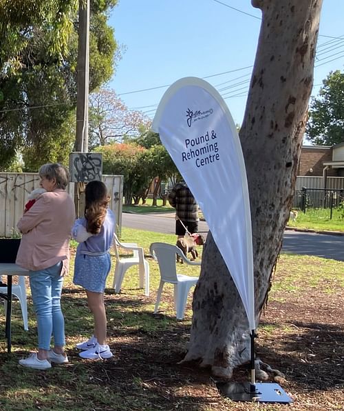 Griffith’s Free Pet Microchipping Day Sees Great Turnout