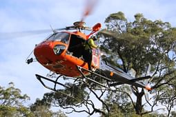 National Parks And Wildlife Air Helos Hover Over Griffith