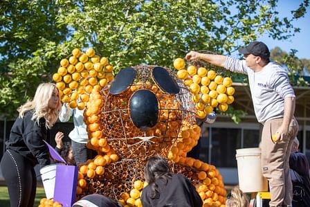 Volunteers Needed To Help Create Real Juice Company Citrus Sculpture Display
