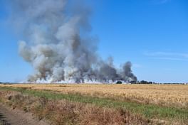 Mid-autumn Stubble Burning Update – Fires Out By 2pm