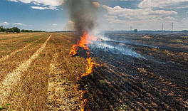 A Friendly Reminder To Burn Stubble Responsibly
